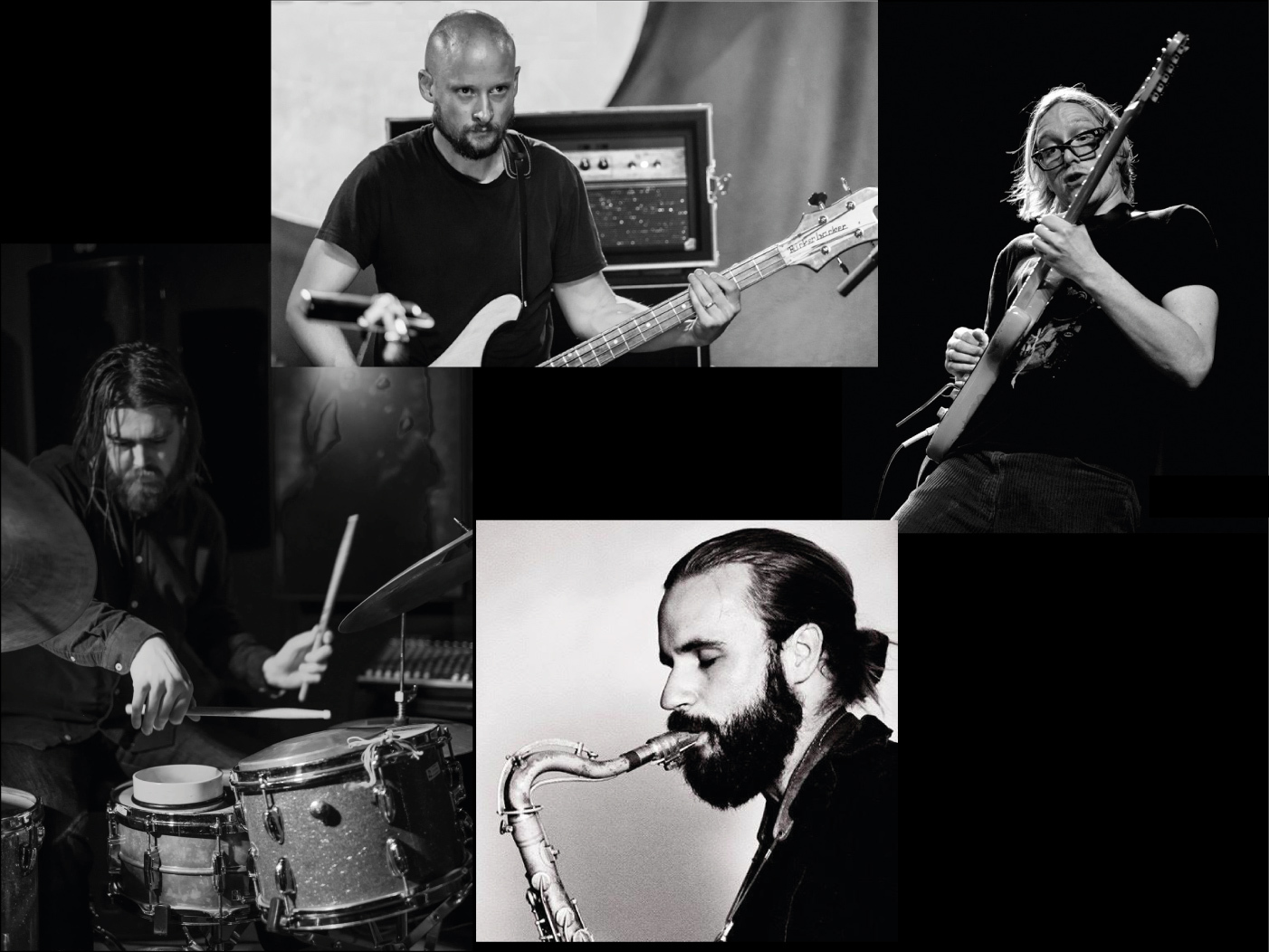 Krokofant + Belomorkanal